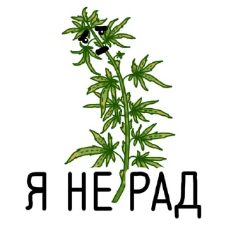 Стикер Errors Seeds pack - 11