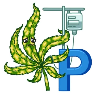 Стикер Errors Seeds pack - 5