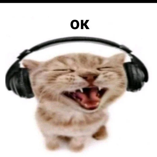 headphones animal fur