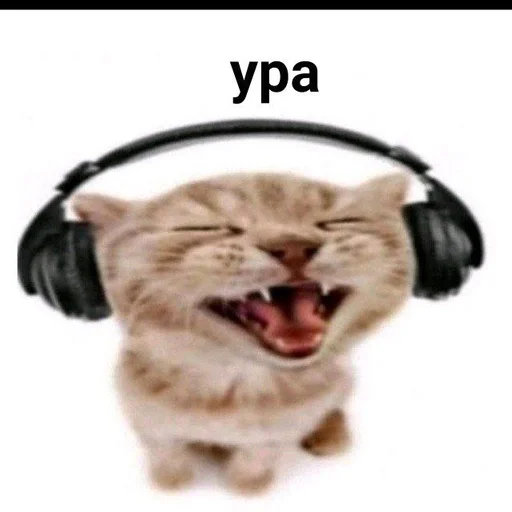 headphones animal headset