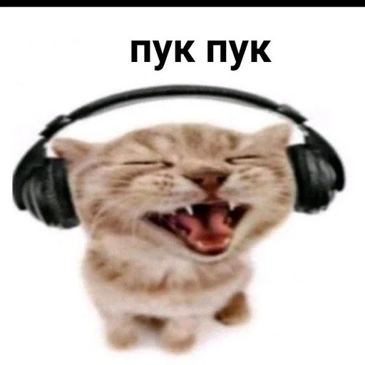 headphones animal mammal