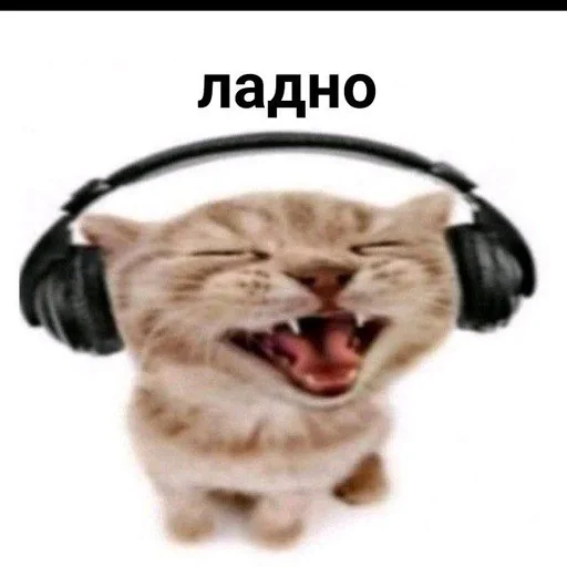 headphones animal headset