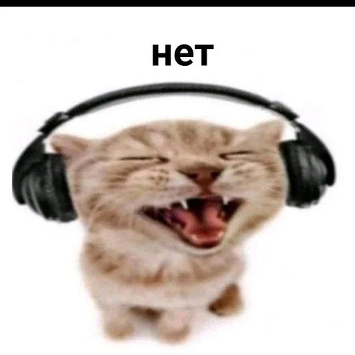 headphones headset animal