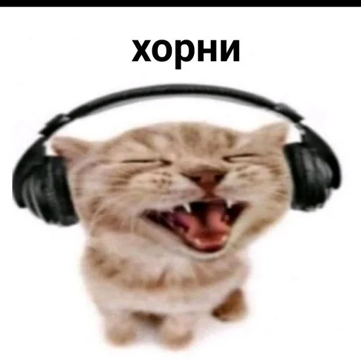 headphones headset audio equipment