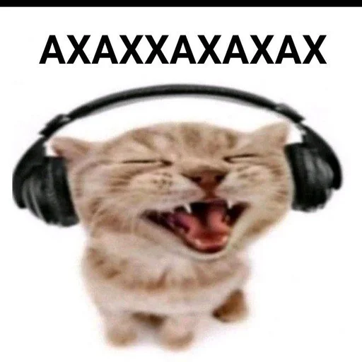 headphones animal mammal