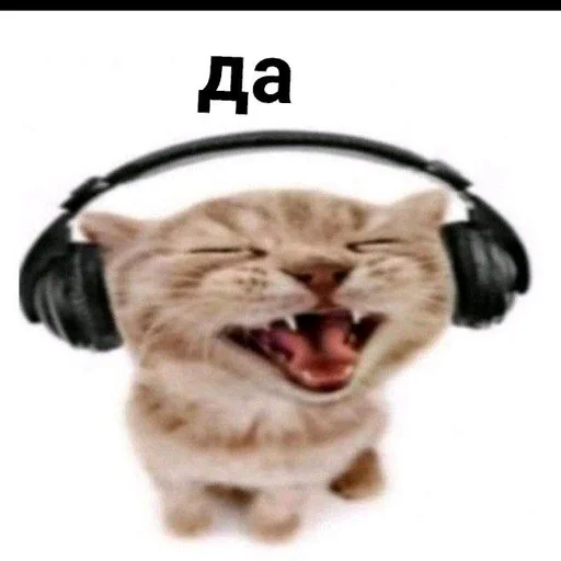 headphones fur headset