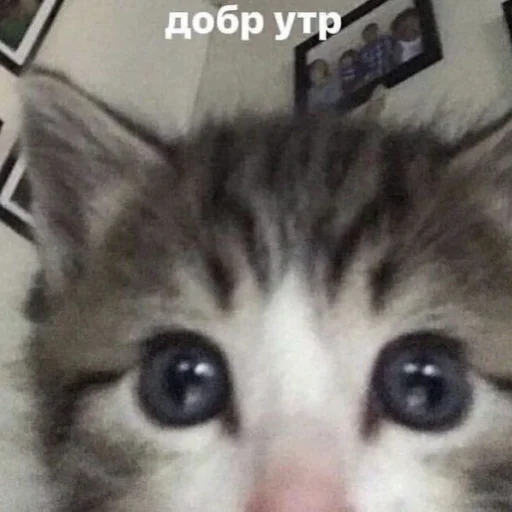 Sticker etgvmlid - 1