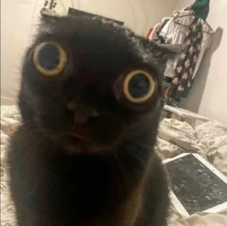 Sticker пиздец - 9