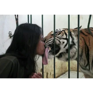 Стикер Sueta - 8