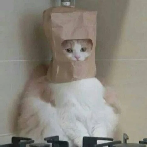 Стикер ev01ny - 1