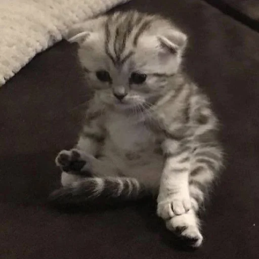 Стикер ev01ny - 1