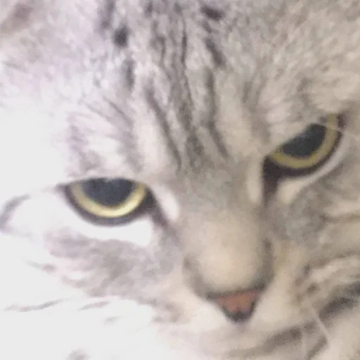 Стикер ev01ny - 1