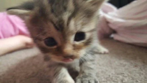 Стикер ev01ny - 1