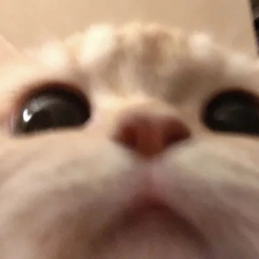 Стикер ev01ny - 1