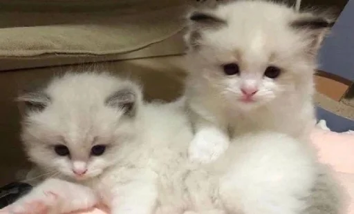 Стикер ev01ny - 1