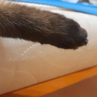 Sticker @evaryday_normal_guy - 0