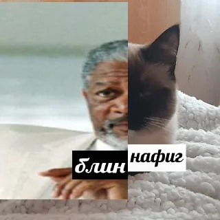 Sticker @evaryday_normal_guy - 5