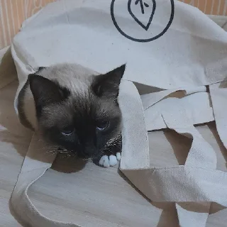 Sticker @evaryday_normal_guy - 7