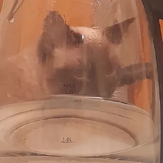 Sticker @evaryday_normal_guy - 10