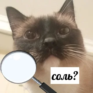 Sticker @evaryday_normal_guy - 2