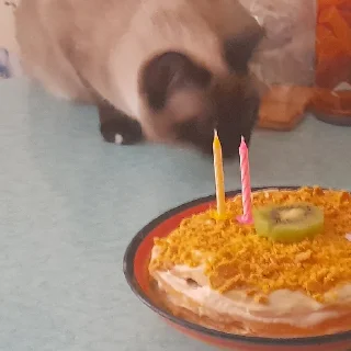 Sticker @evaryday_normal_guy - 9