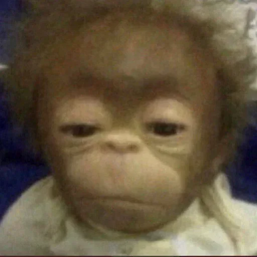 Sticker everydaypen - 1