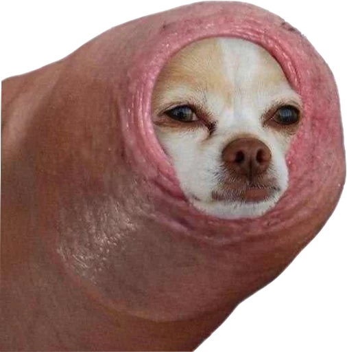 Sticker всештопохоженахуйсмешно - 10