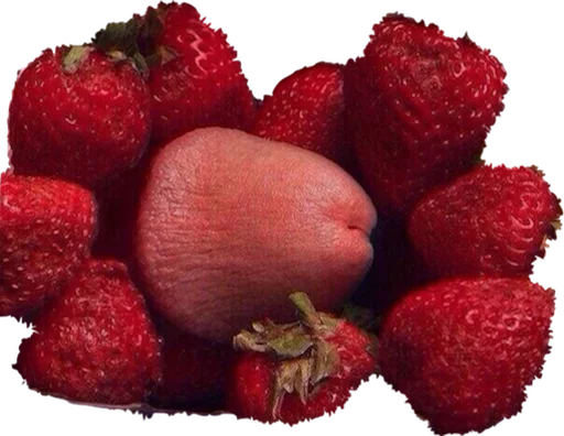 Sticker всештопохоженахуйсмешно - 2