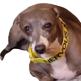 Стикер eheheheheheheh - 10