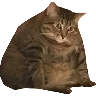 Стикер eheheheheheheh - 7