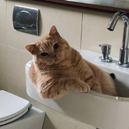 Стикер evonya.<333 - 7