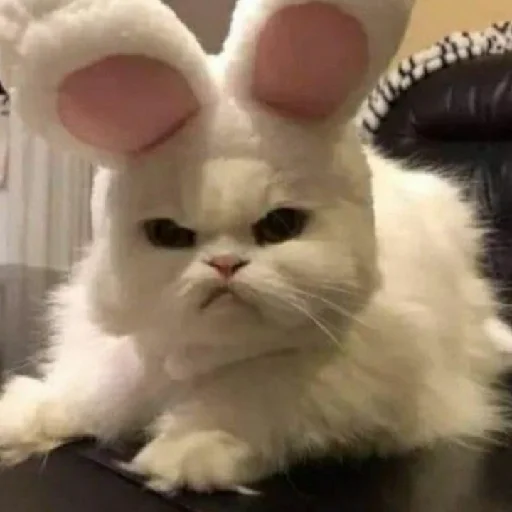 Стикер evonya.<333 - 2