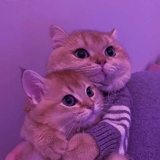 Стикер evonya.<333 - 0