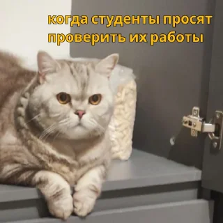 Sticker Evtushenko - 1