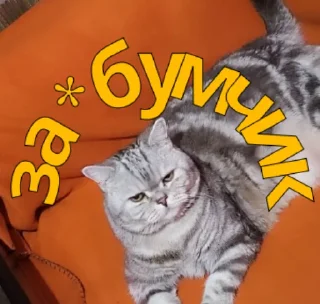 Sticker Evtushenko - 3