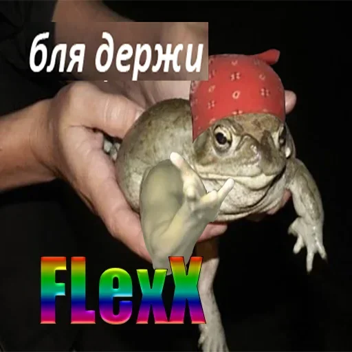 Стикер ewjDZBHouBGTLKrHxD_by_stickers_stealer_bot - 1