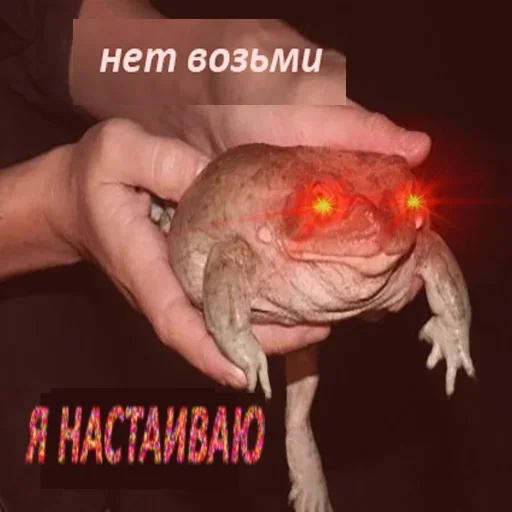 Стикер ewjDZBHouBGTLKrHxD_by_stickers_stealer_bot - 1