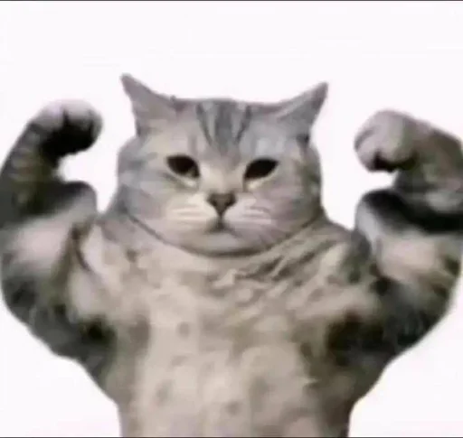 Sticker Топ стикеры 👉 @Femoji - 4