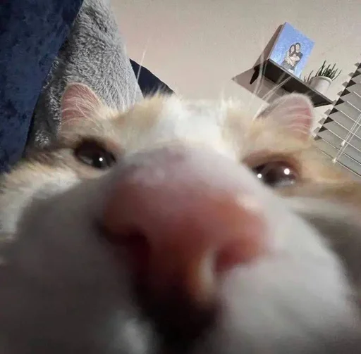 Sticker Топ стикеры 👉 @Femoji - 2