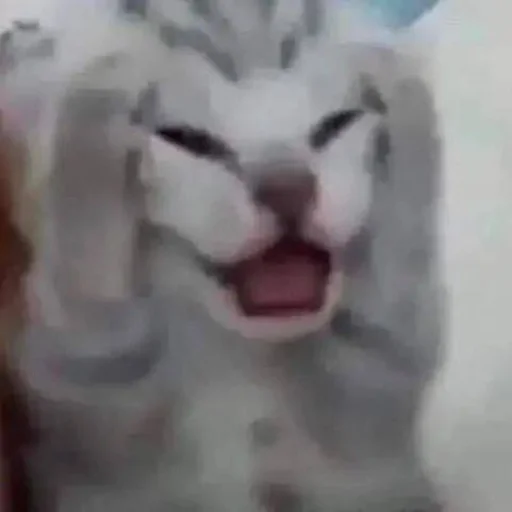 Топ стикеры 👉 @Femoji - 