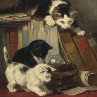 Sticker ex librisss - 6