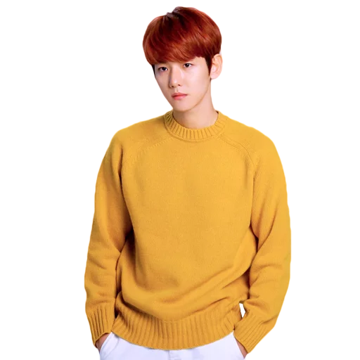 одежда свитер Человек