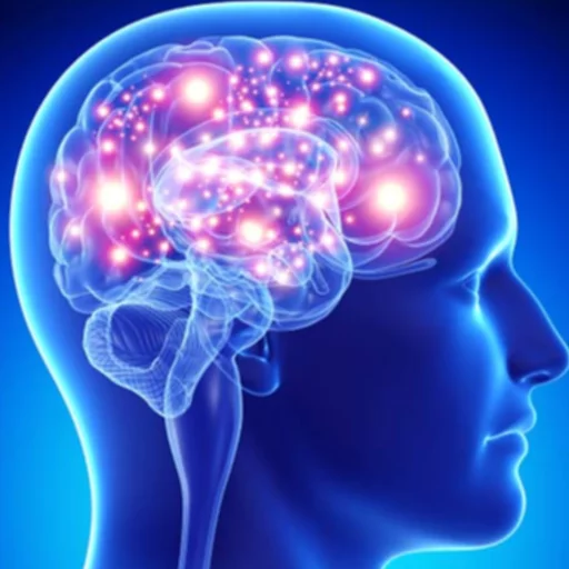 jellyfish coelenterate smoke