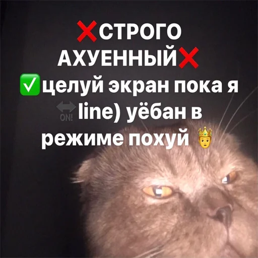 Sticker explainursmolness - 1