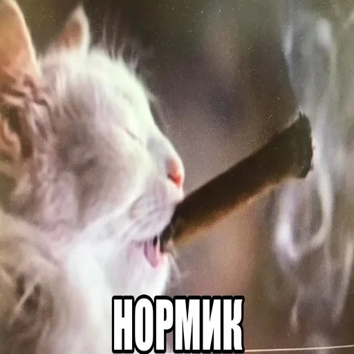 Стикер explainursmolness - 1