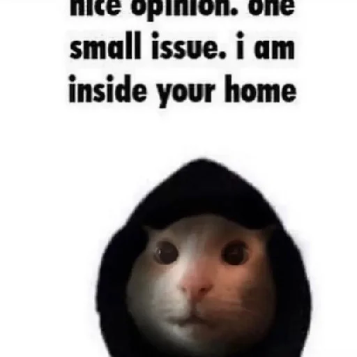 Sticker explainursmolness - 1