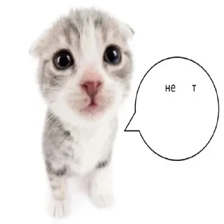 Стикер explain ur smolness - 7