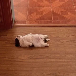 Стикер explain ur smolness - 6