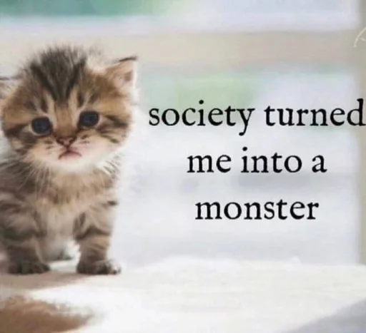 животное кошка млекопитающее