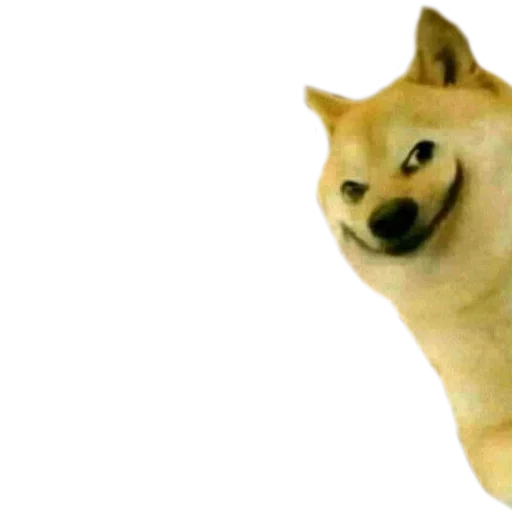 Стикер мемные собаки - 9